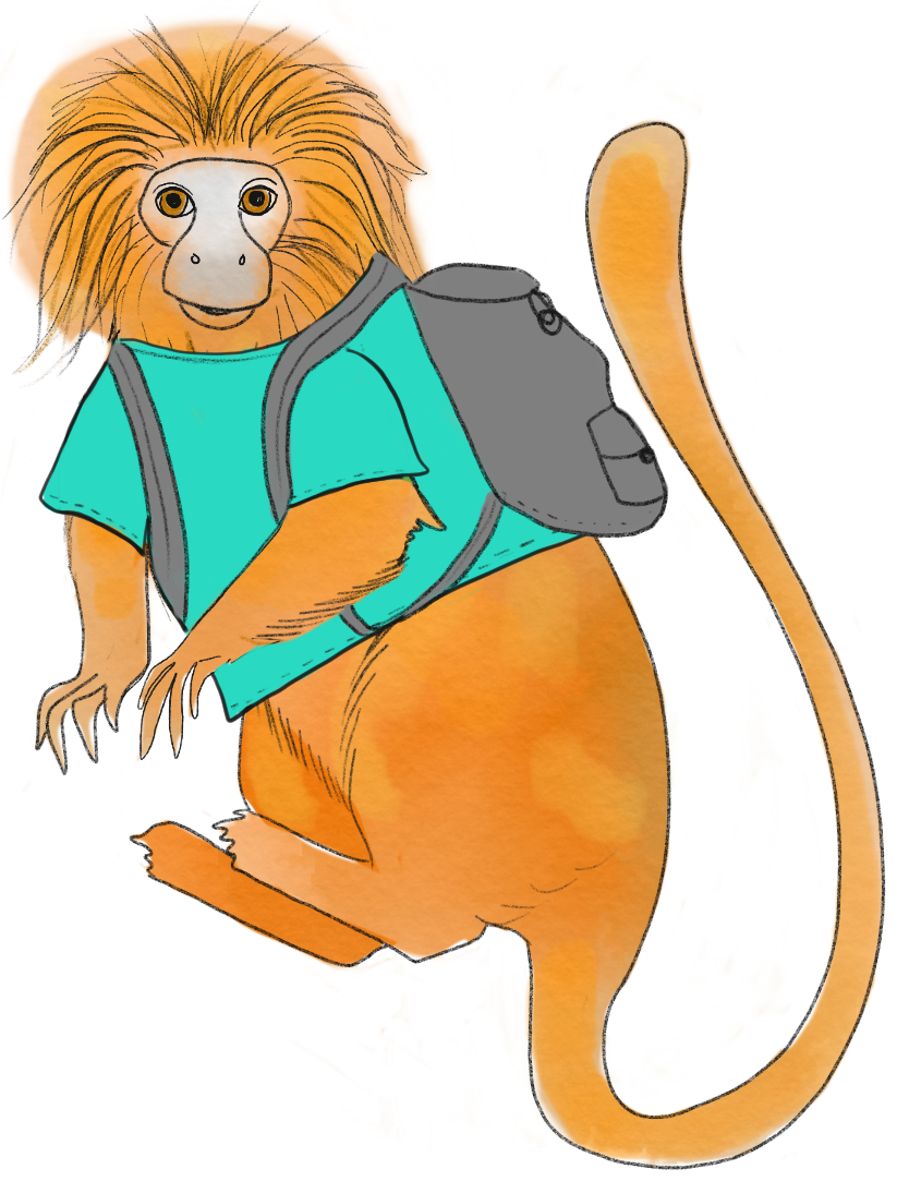 Mascotte tamarin